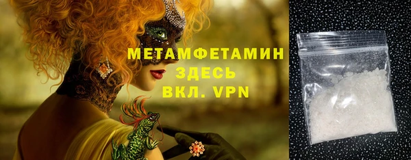 мет Алексин