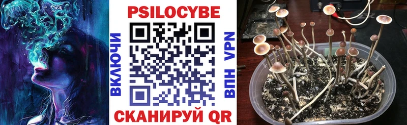 хочу   Оханск  Галлюциногенные грибы Psilocybe 